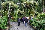 018_2008-0919-1436-02.jpg
